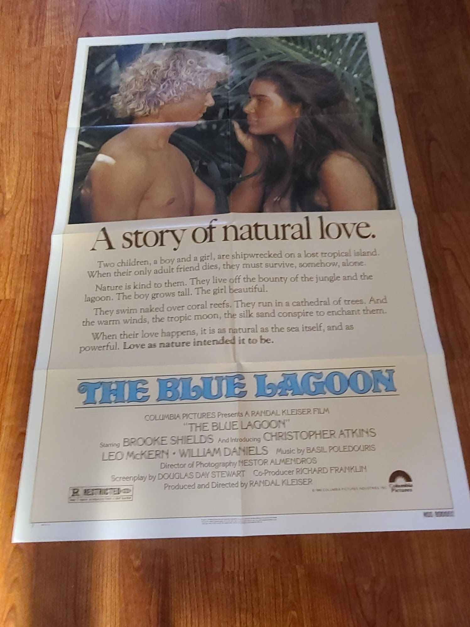 The Blue Lagoon 1980 1 Sheets/US