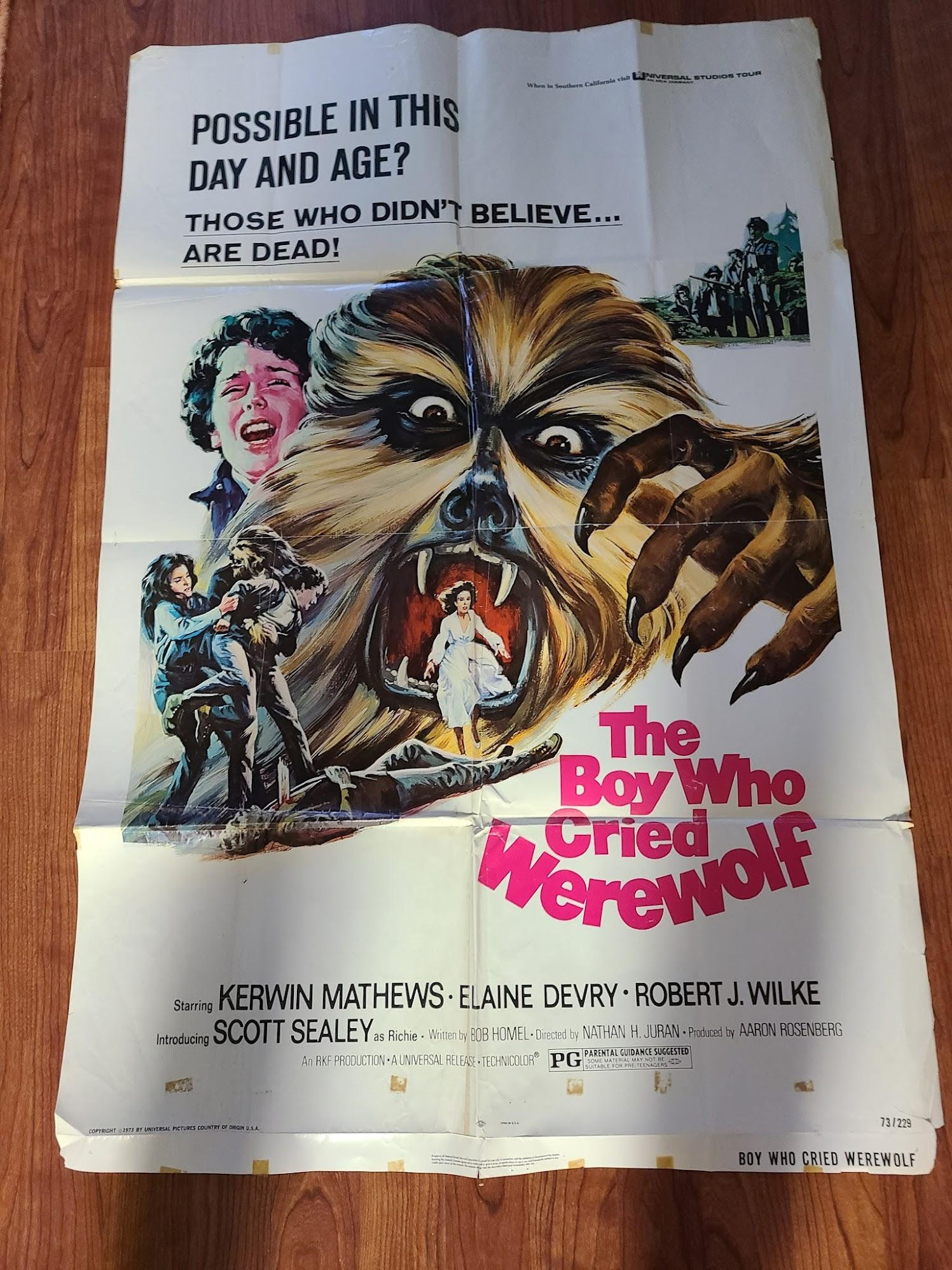 The Boy Who Cried Werewolf 1973 1 Sheets/US
