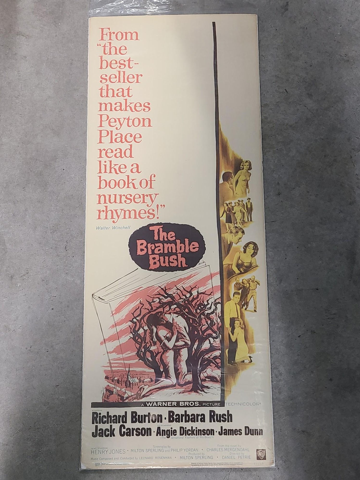 The Bramble Bush 1960 Inserts