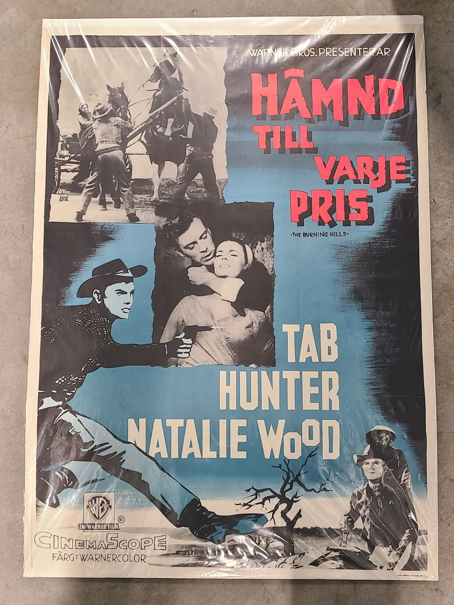 The Burning Hills 1956 1 Sheets/US