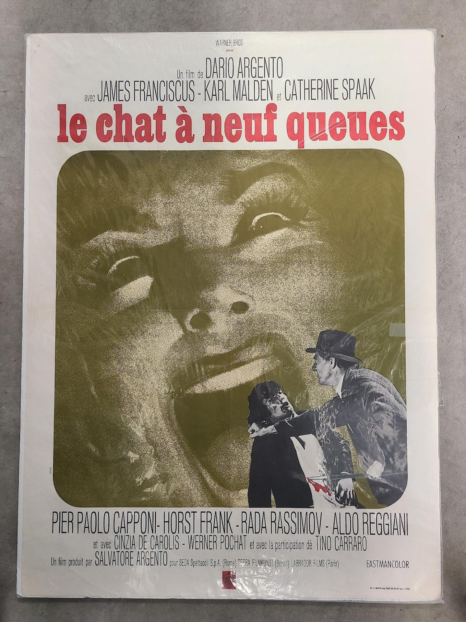 The Cat O' Nine Tails 1969 French