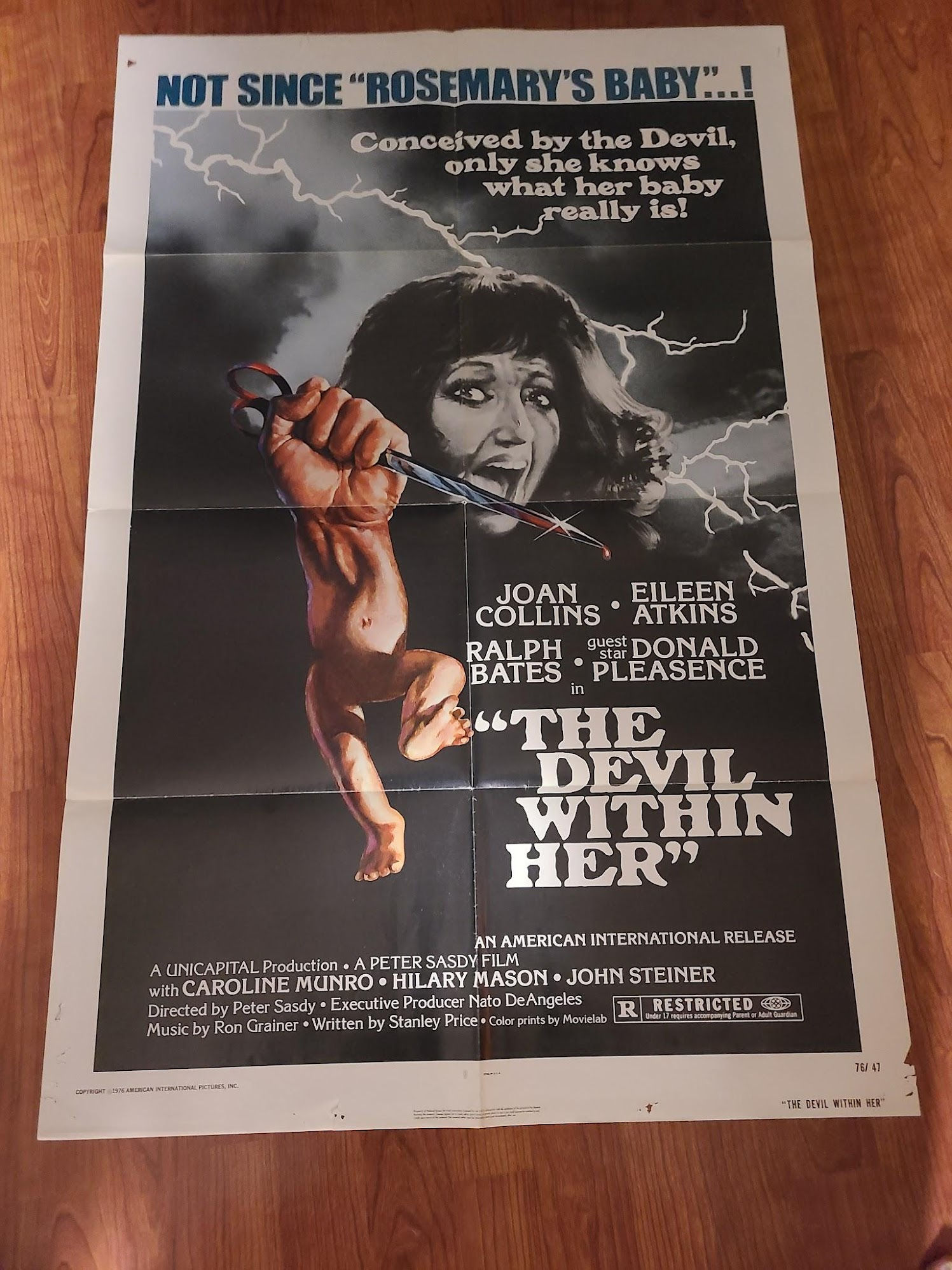The Devil Within Her 1976 1 Sheets/US