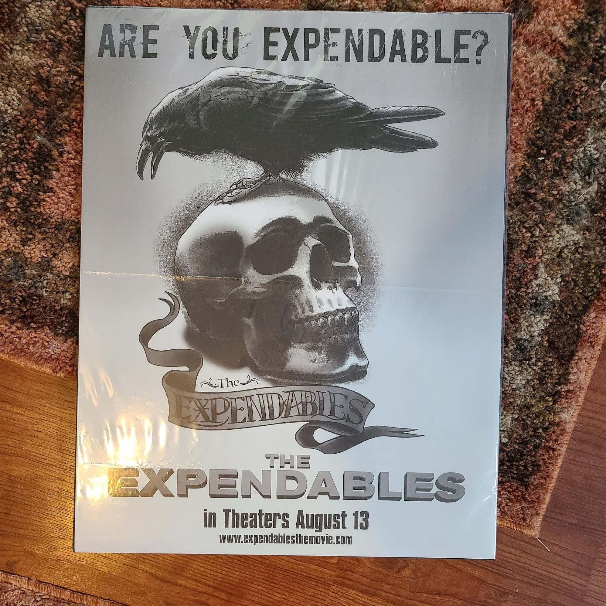The Expendables 2010 Window Cards