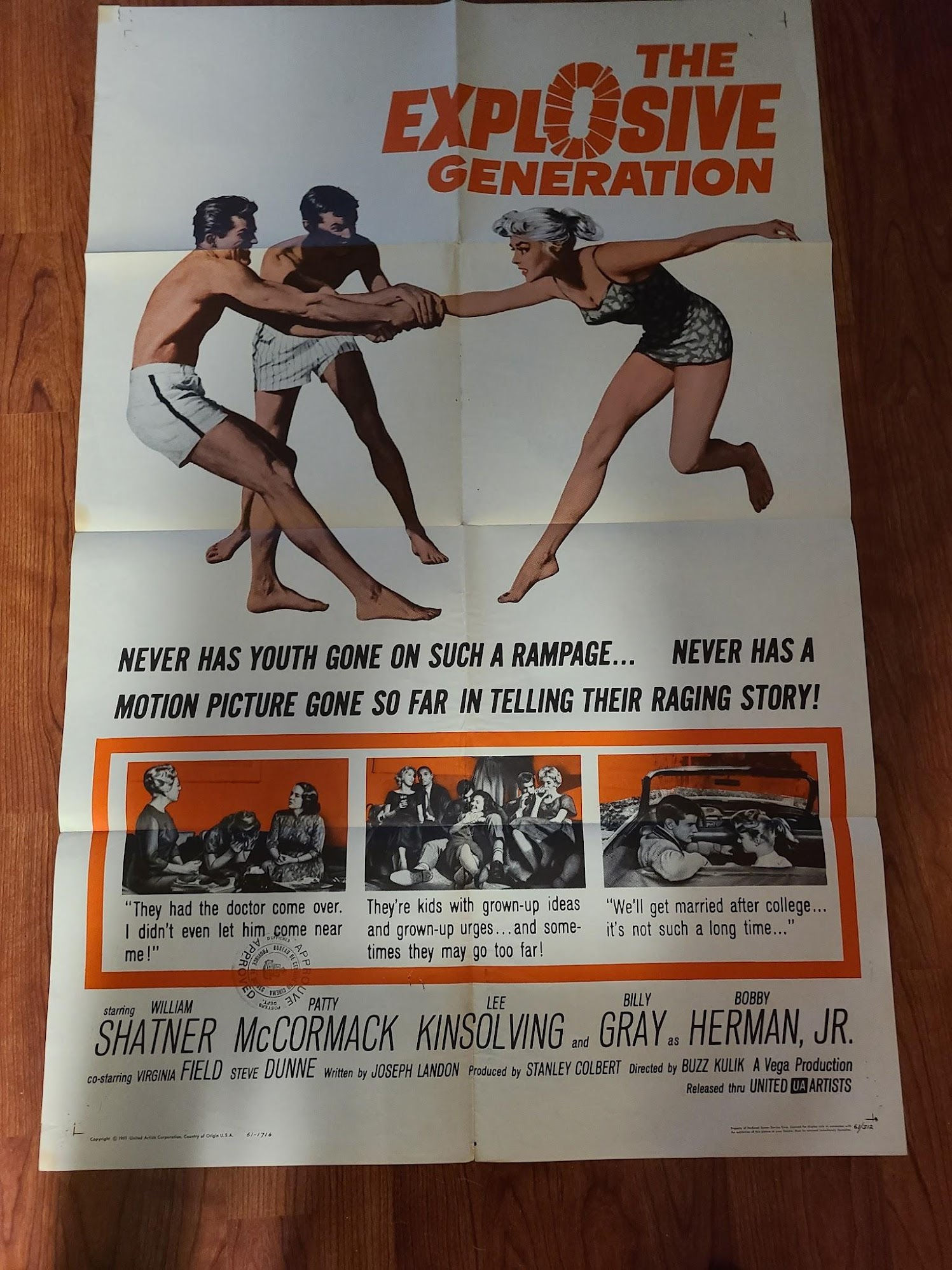 The Explosive Generation 1961 1 Sheets/US