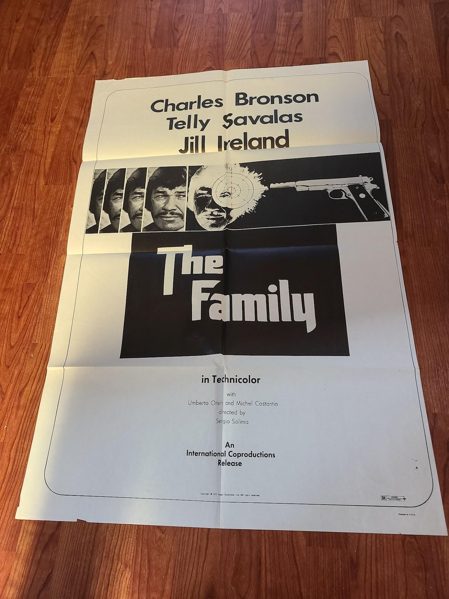 The Family 1970 1 Sheets/US