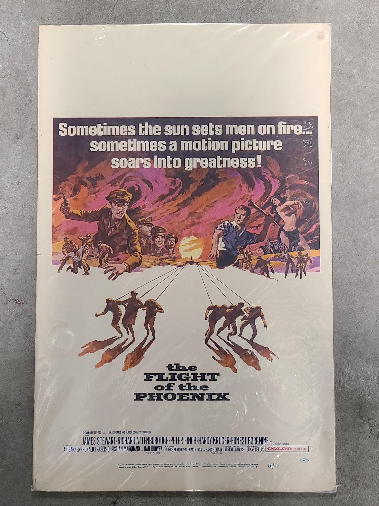 The Flight Of The Phoenix 1965 Window Cards