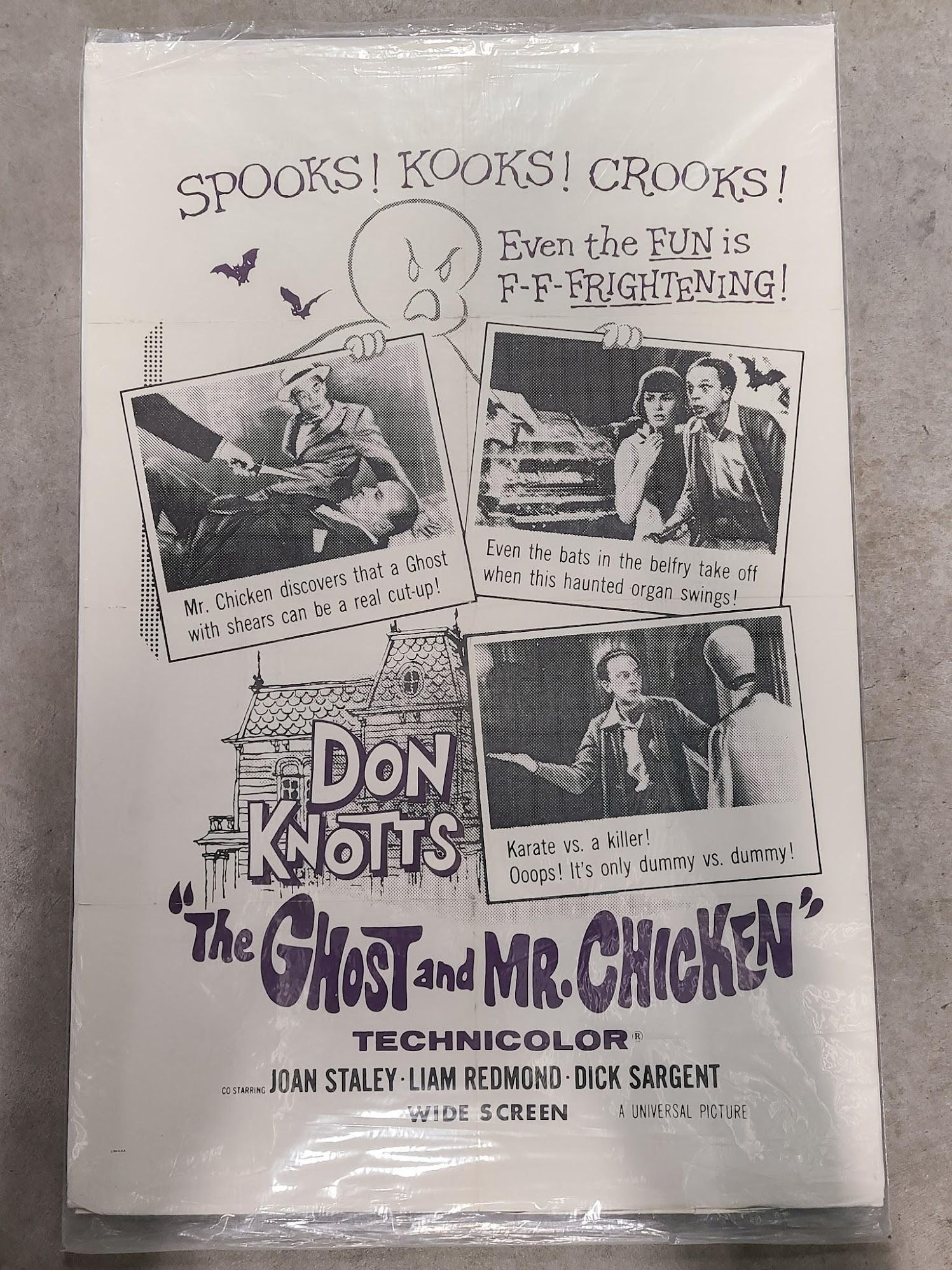 The Ghost And Mr. Chicken 1966 1 Sheets/US