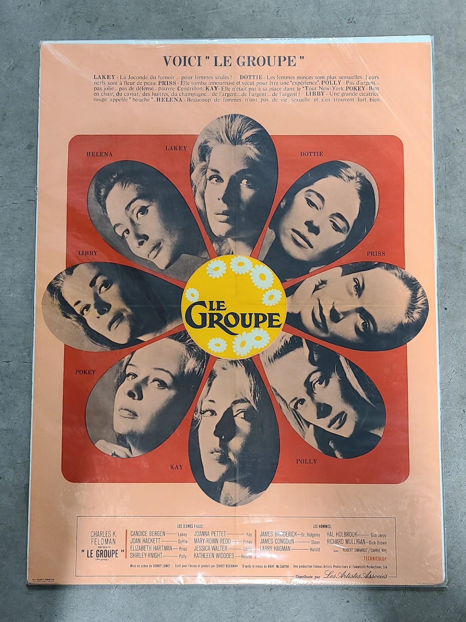 The Group 1966 French