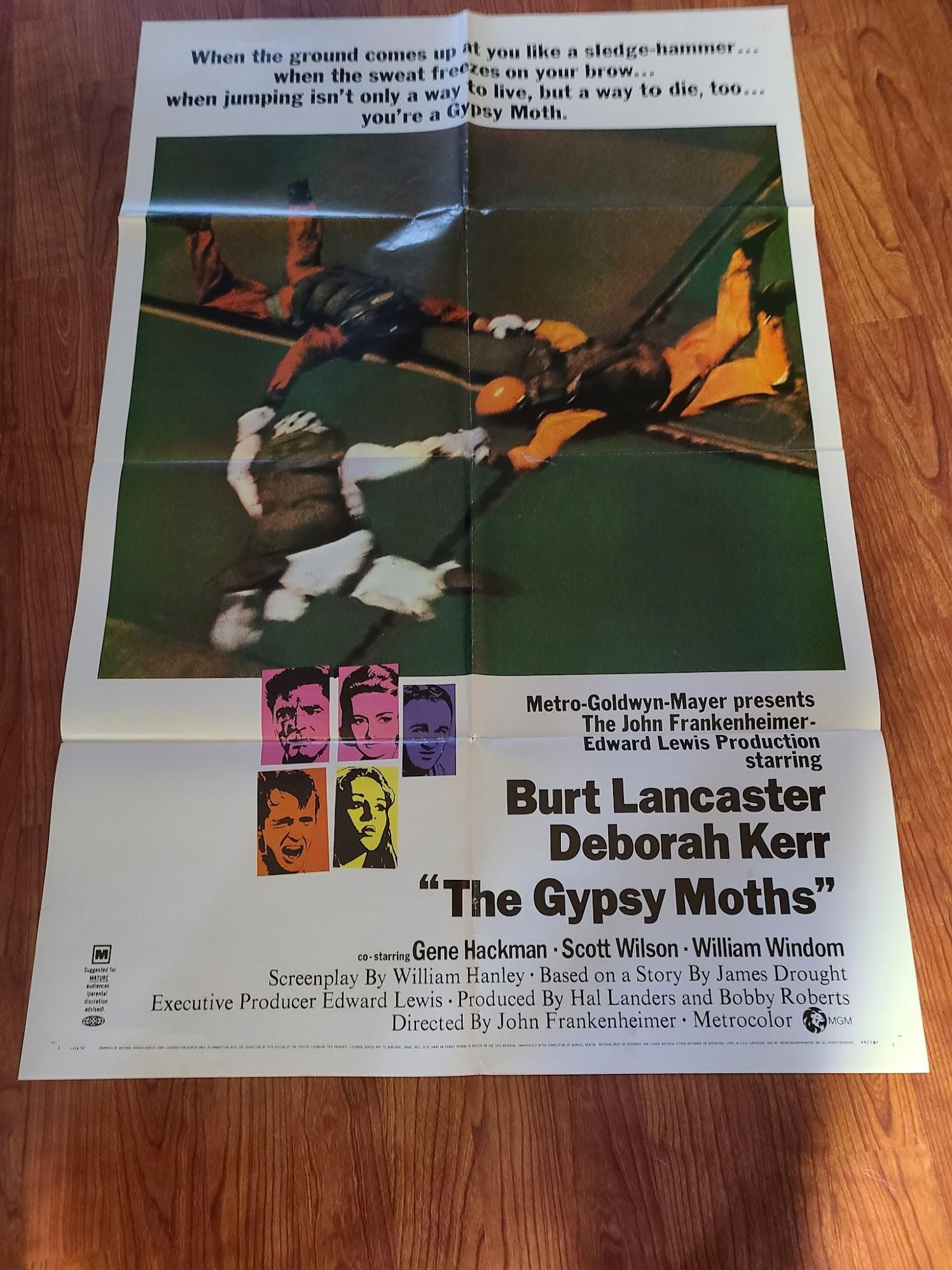 The Gypsy Moths 1969 1 Sheets/US