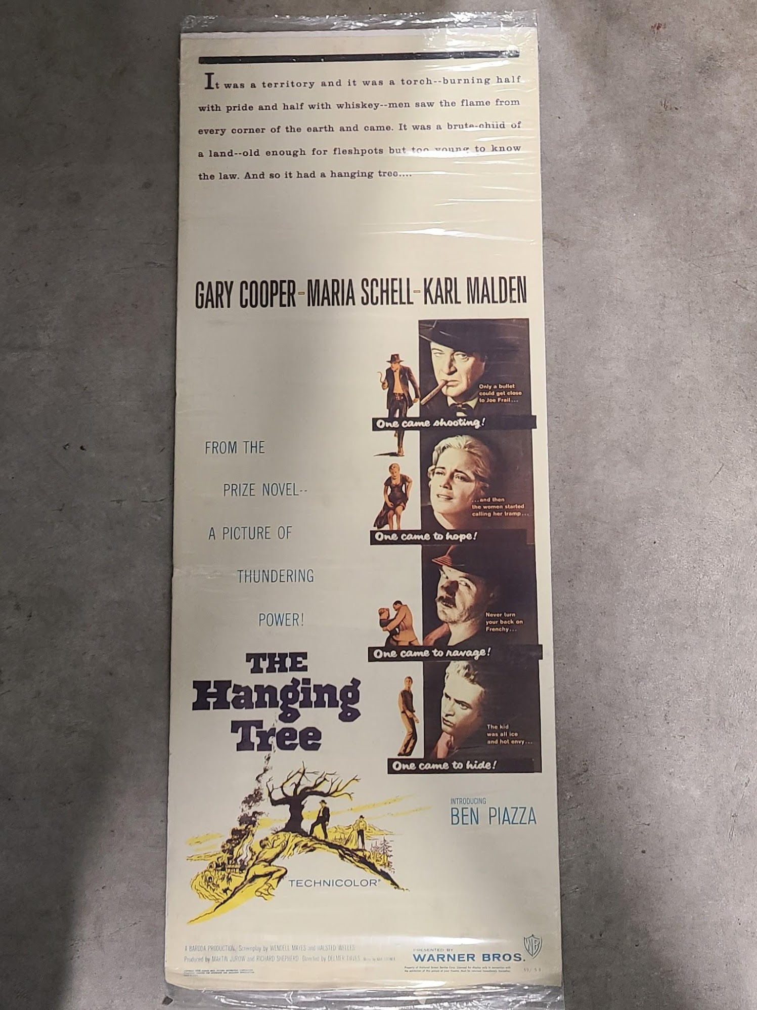 The Hanging Tree 1959 Inserts