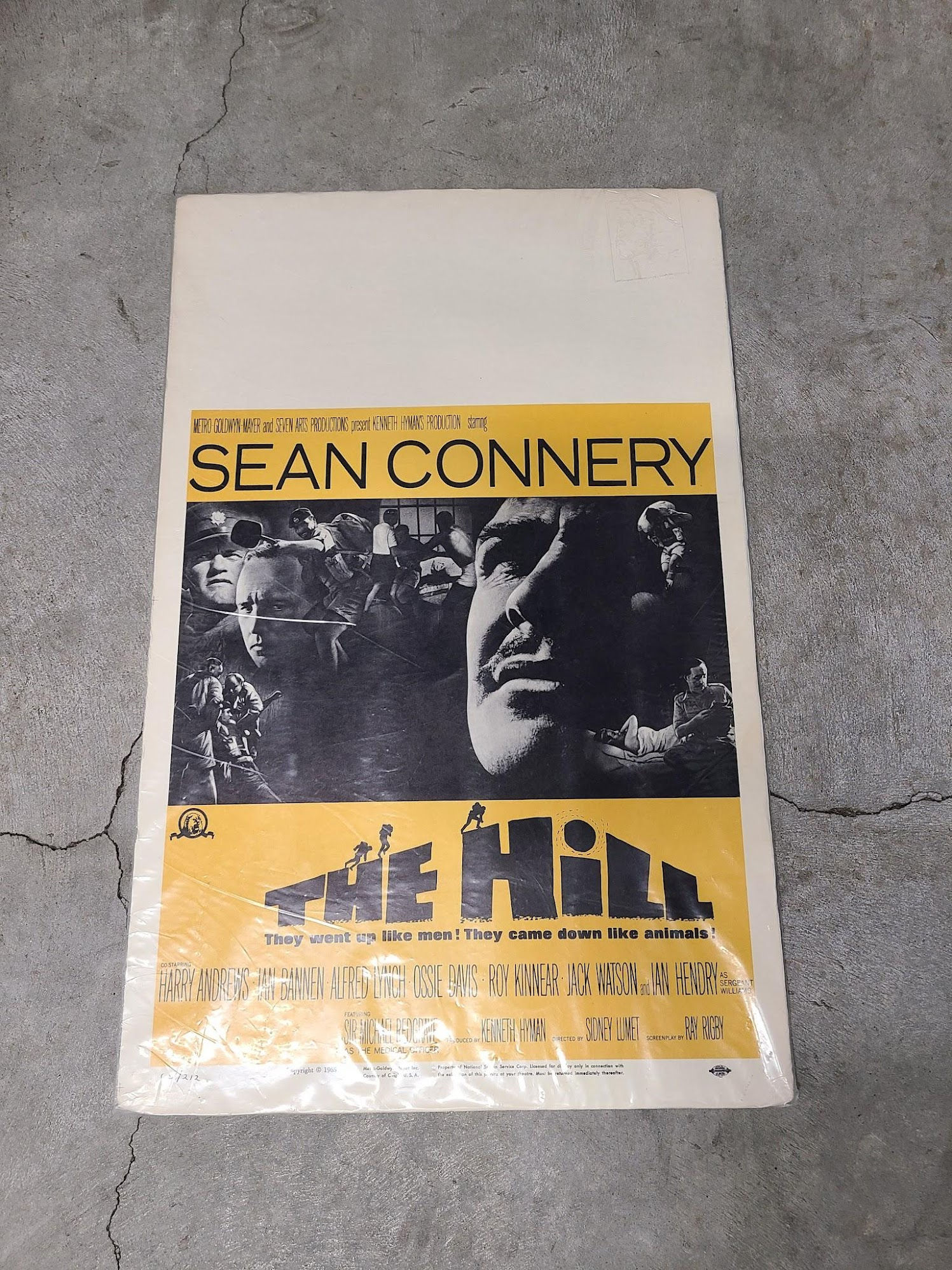 The Hill 1965 Window Cards