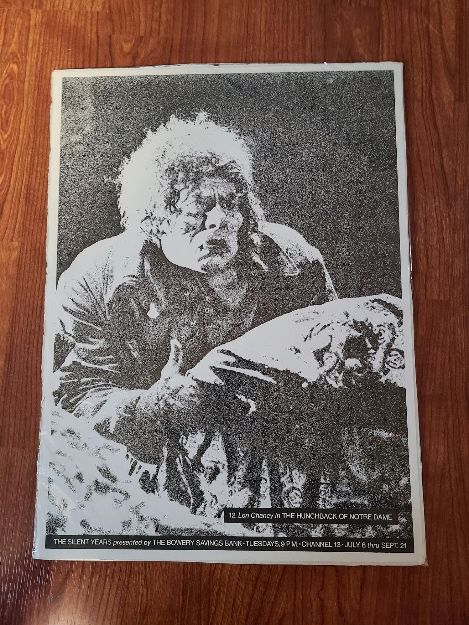 The Hunchback Of Notre Dame 1923 Window Cards