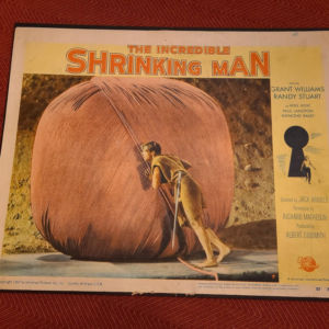 The Incredible Shrinking Man 1957 Scifi/Horror