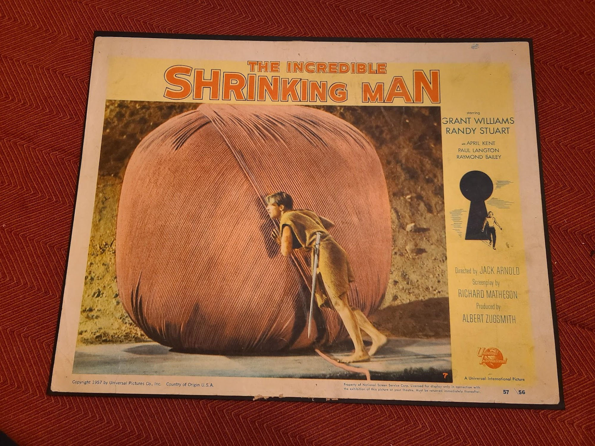 The Incredible Shrinking Man 1957 Scifi/Horror
