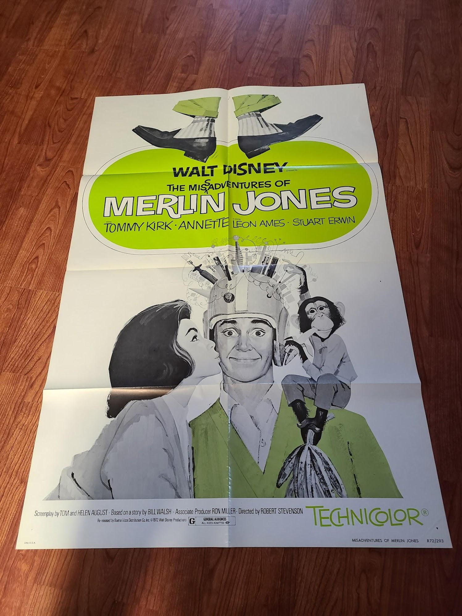 The Misadventures of Merlin Jones 1965 1 Sheets/US