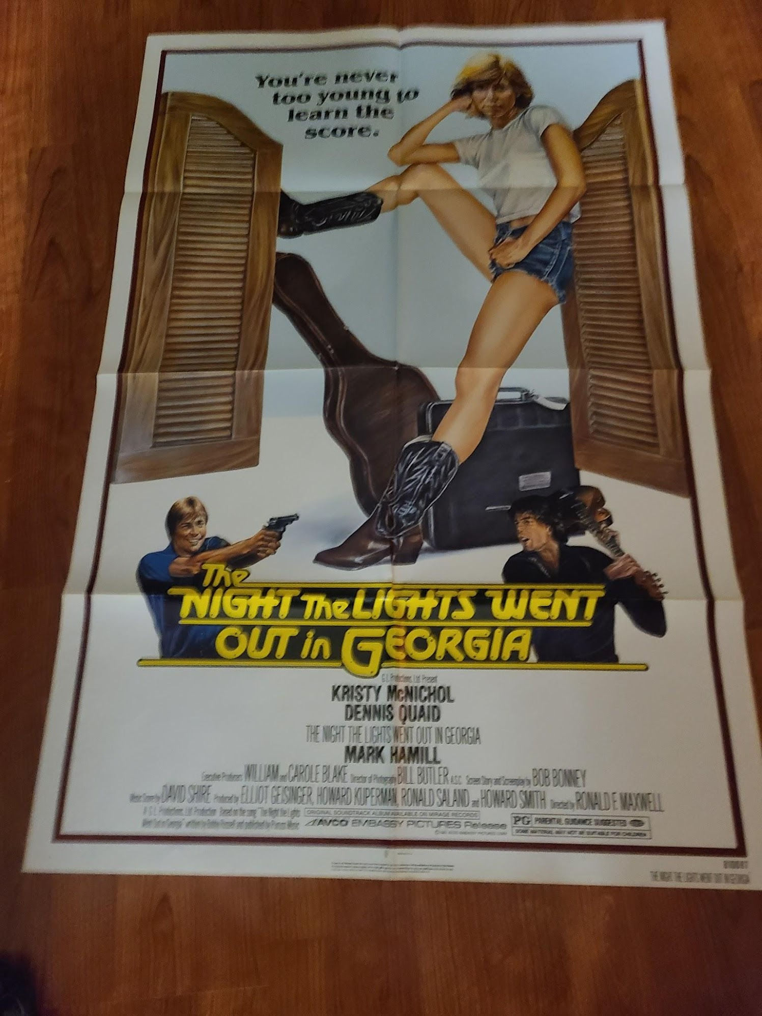 The Night the Lights Went Out in Georgia 1981 1 Sheets/US