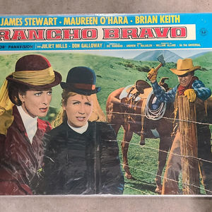 The Rare Breed 1966 Fotobusta
