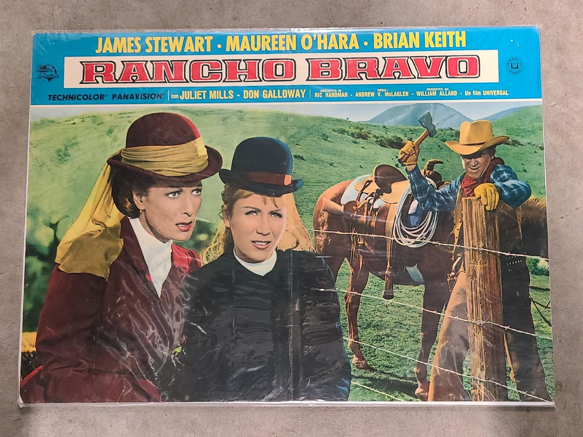 The Rare Breed 1966 Fotobusta