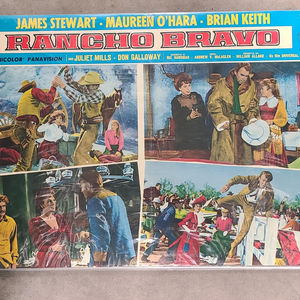 The Rare Breed 1966 Fotobusta