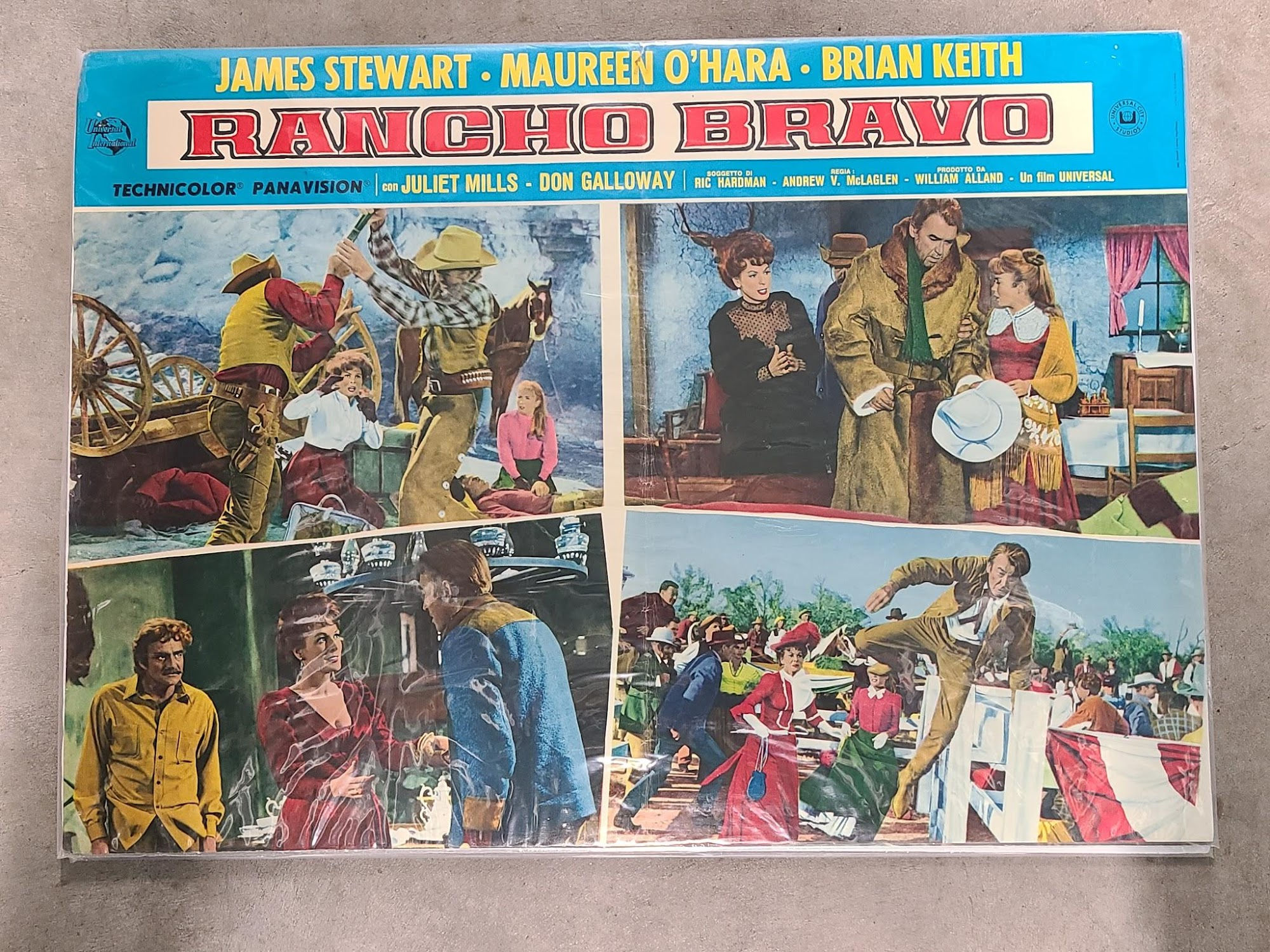 The Rare Breed 1966 Fotobusta