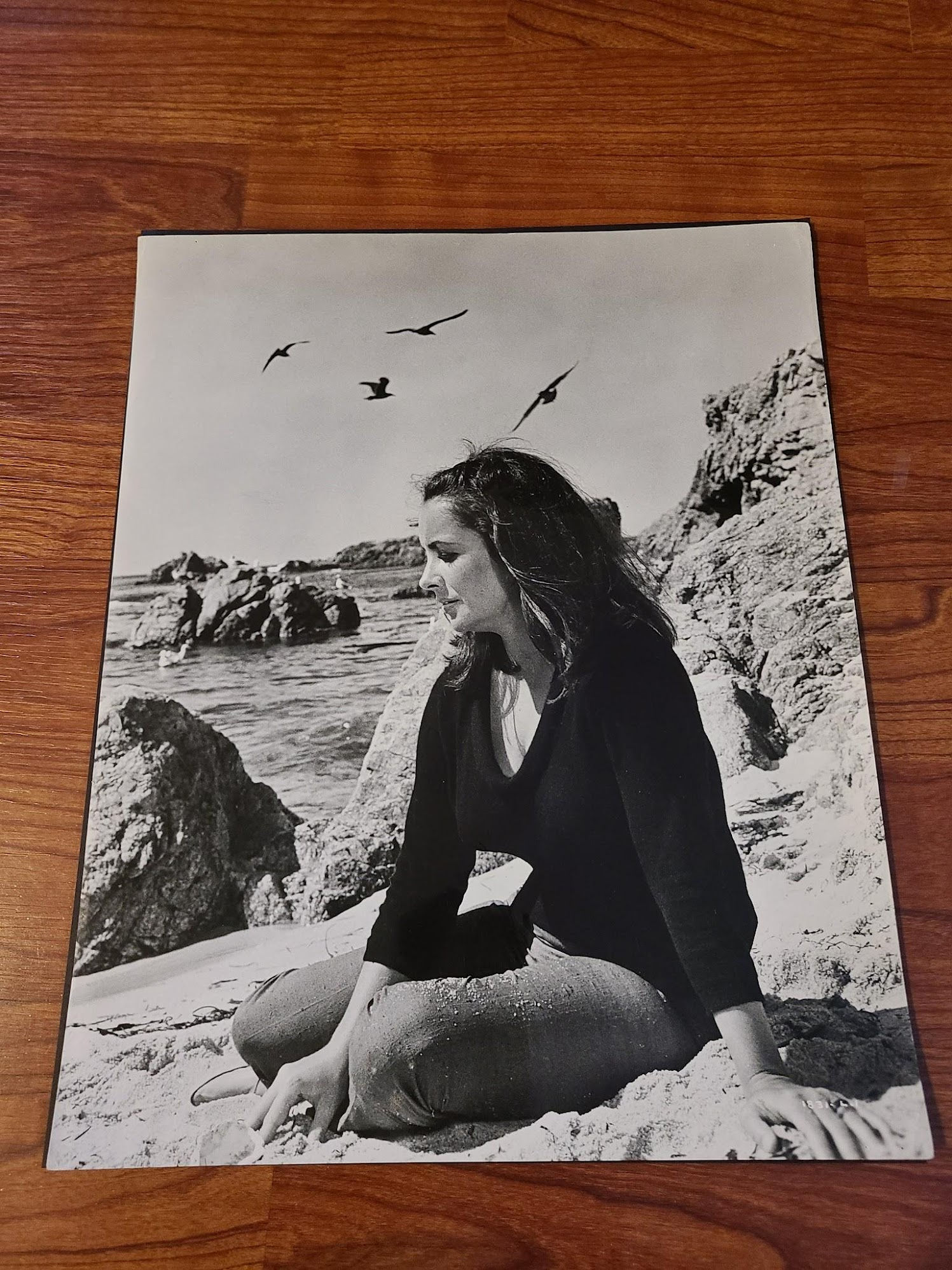 The Sandpiper 1965 General Lobby Cards