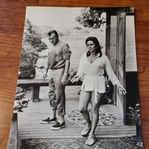 The Sandpiper 1965 General Lobby Cards