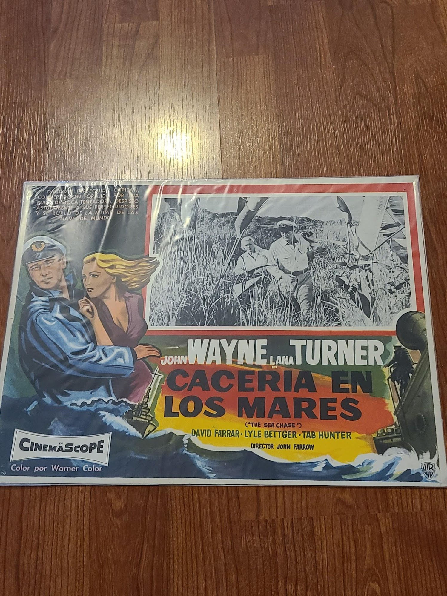 The Sea Chase 1955 Mexican Lobby Cards