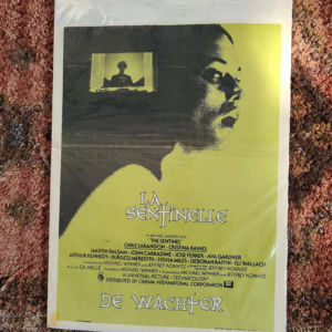 The Sentinel 1977 Belgium