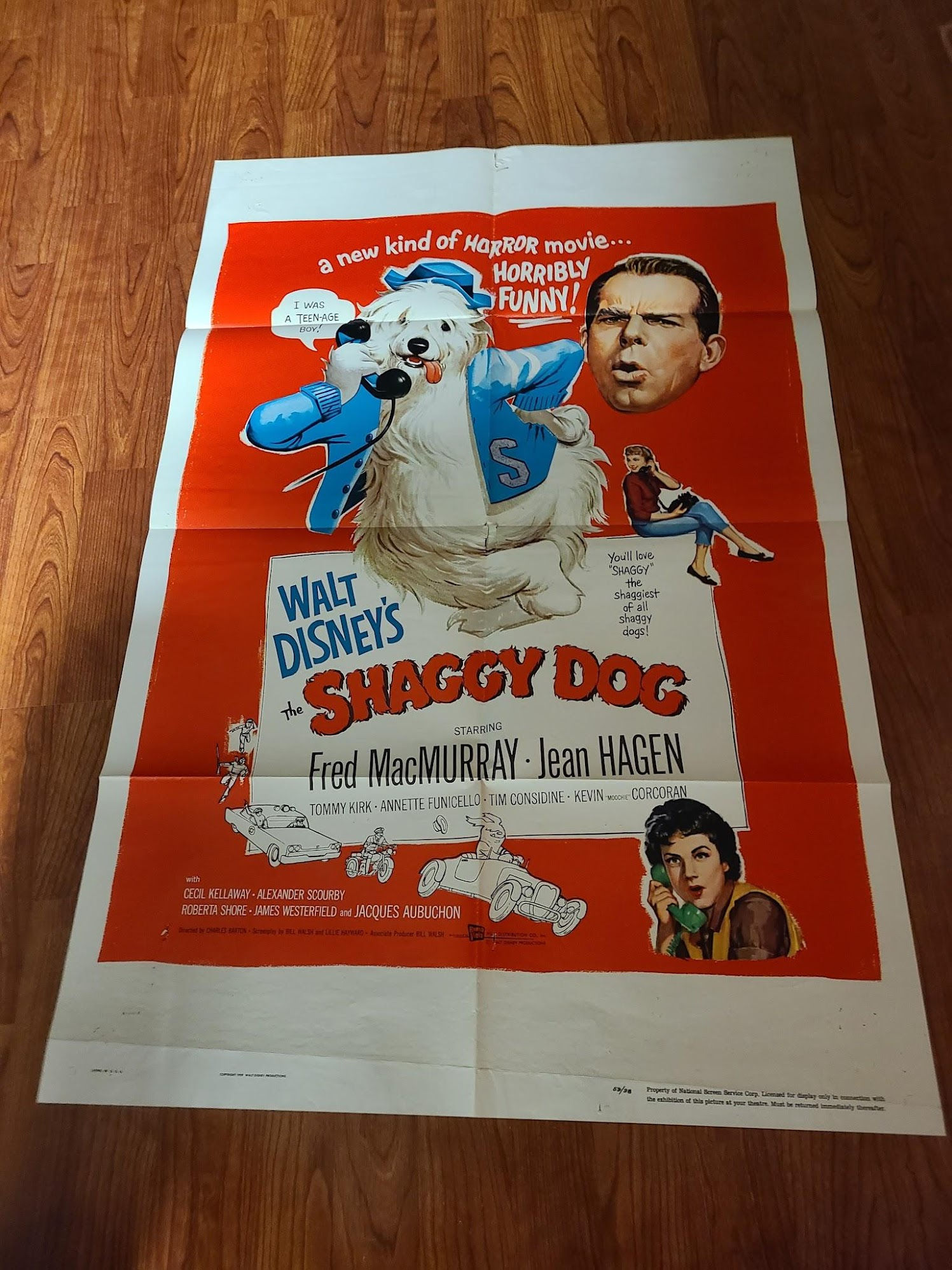 The Shaggy Dog 1959 1 Sheets/US