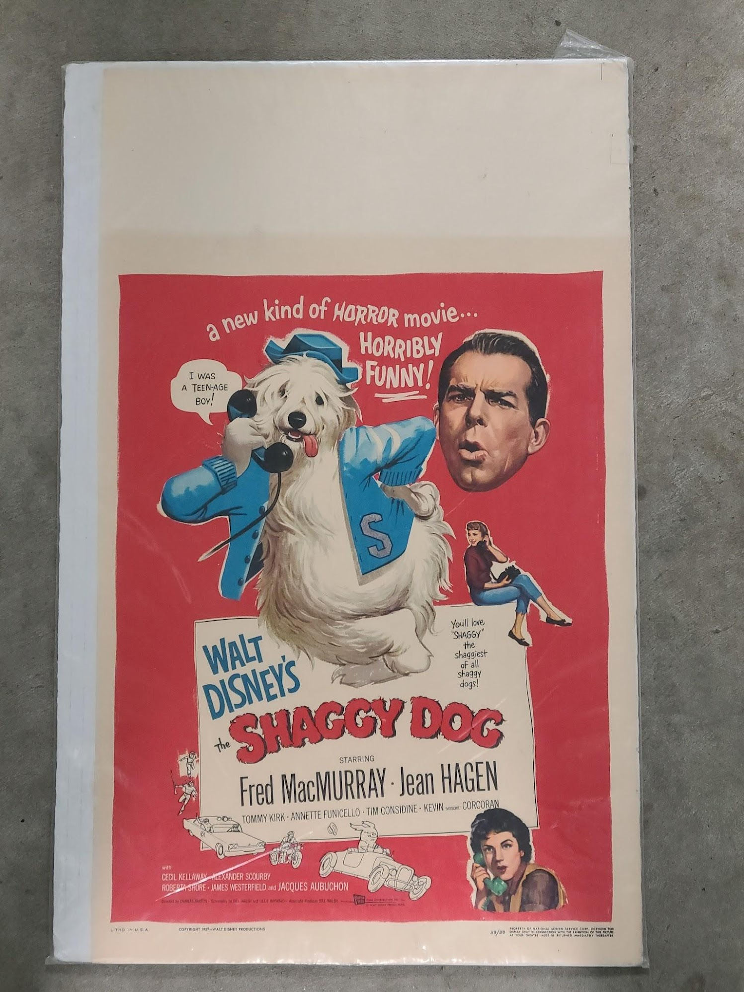 The Shaggy Dog 1959 Window Cards