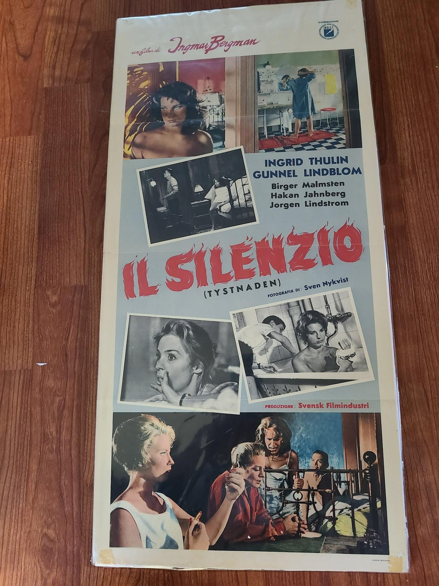 The Silence 1963 Locodina