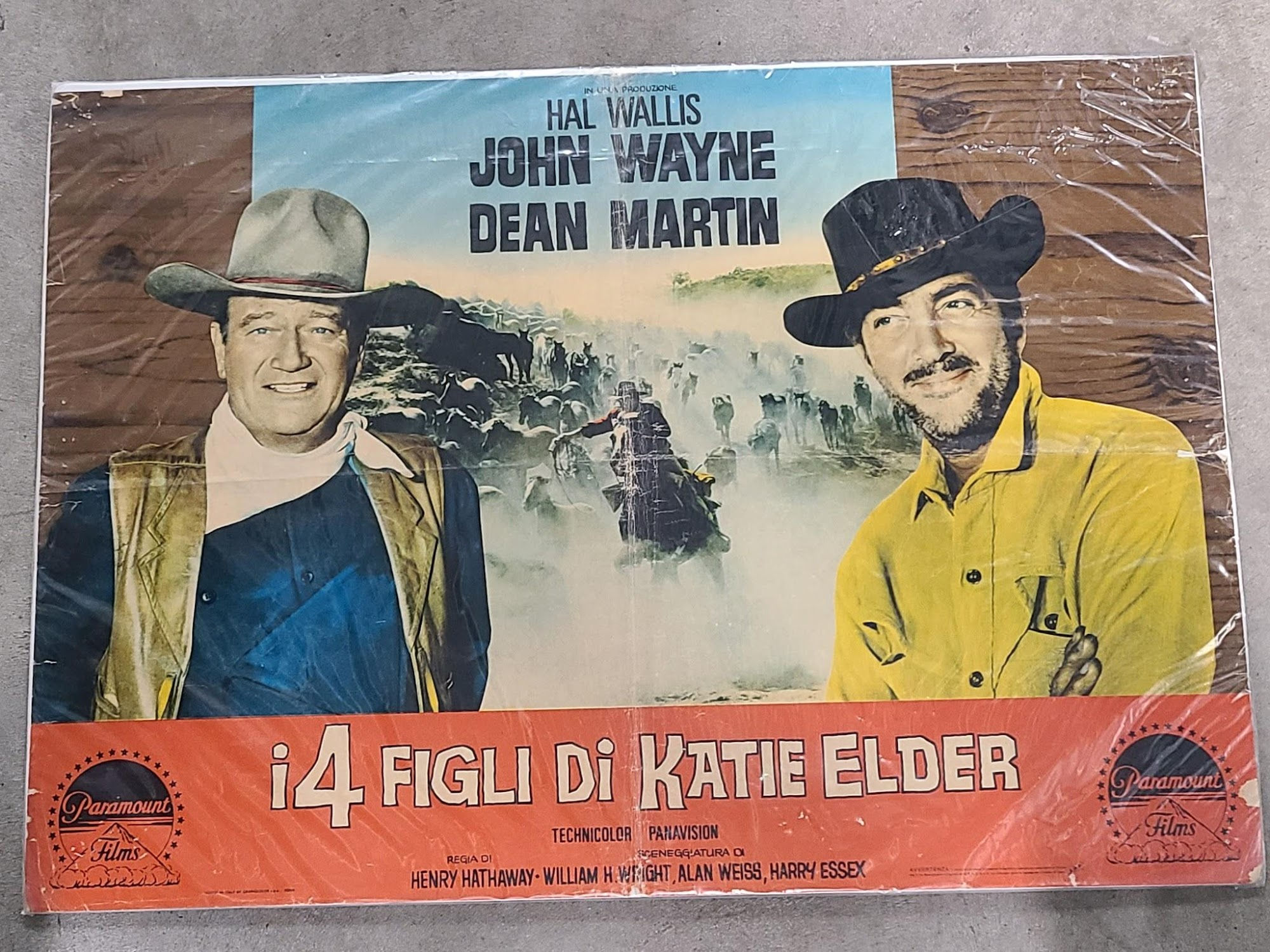 The Sons of Katie Elder 1965 Fotobusta