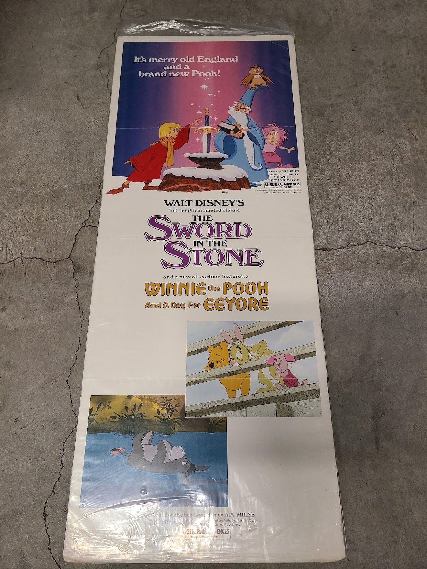 The Sword In The Stone 1963 Inserts
