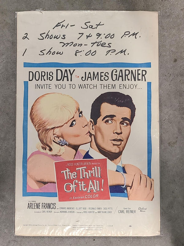 The Thrill Of It All 1963 Window Cards