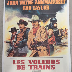 The Train Robbers 1973 French