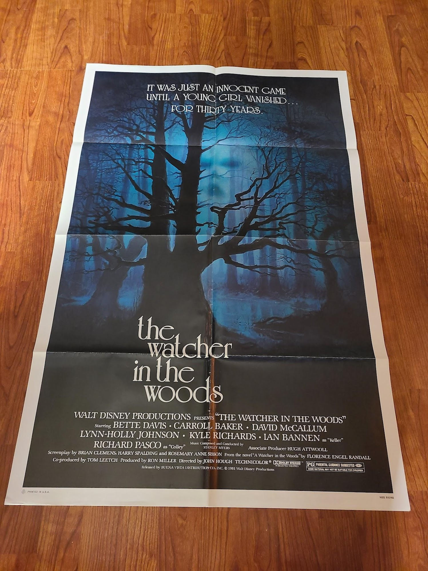 The Watcher In The Woods 1980 1 Sheets/US