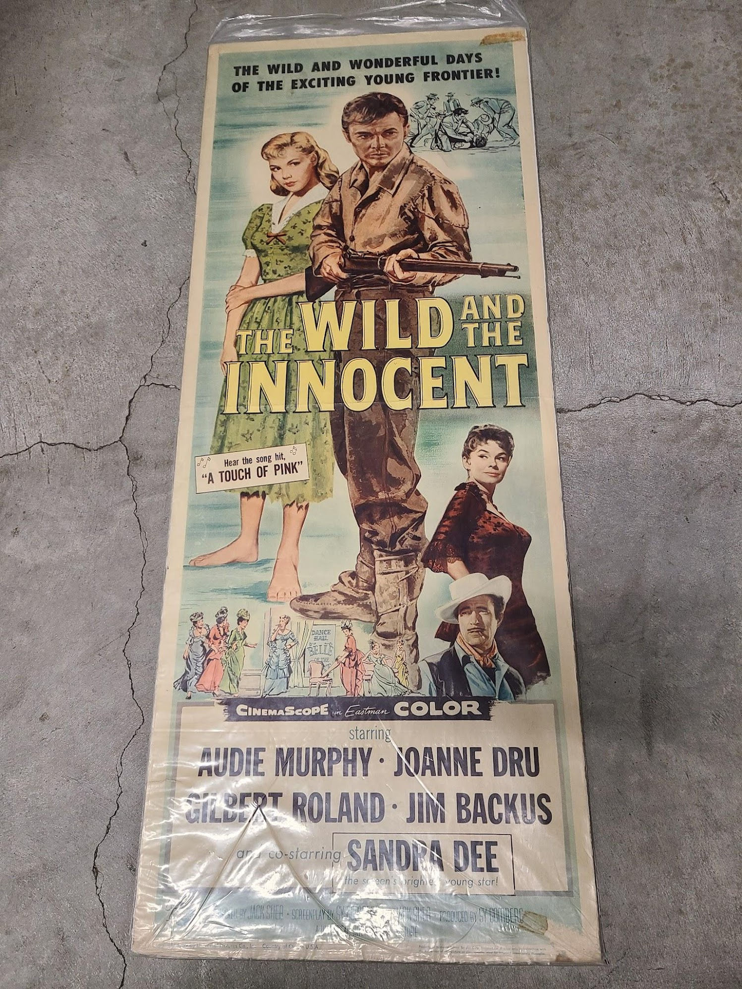 The Wild And The Innocent 1960 Inserts