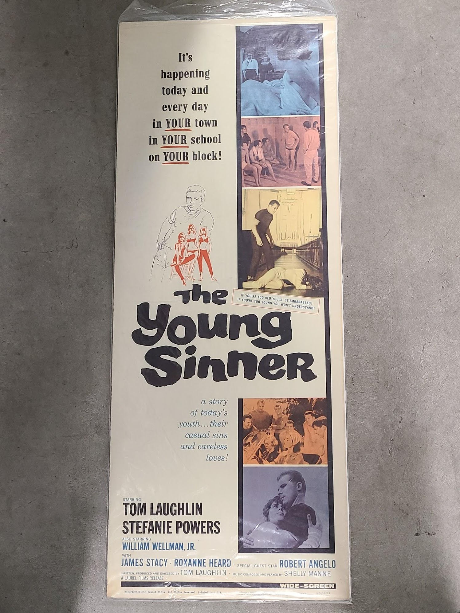 The Young Sinner 1965 Inserts