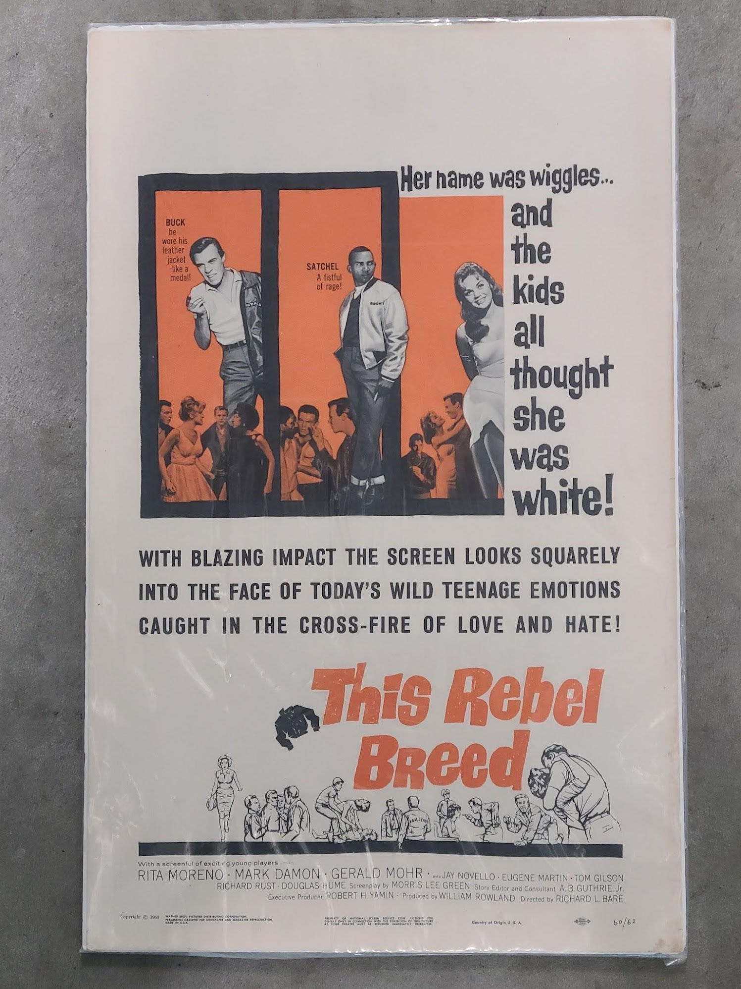 This Rebel Breed 1960 Window Cards