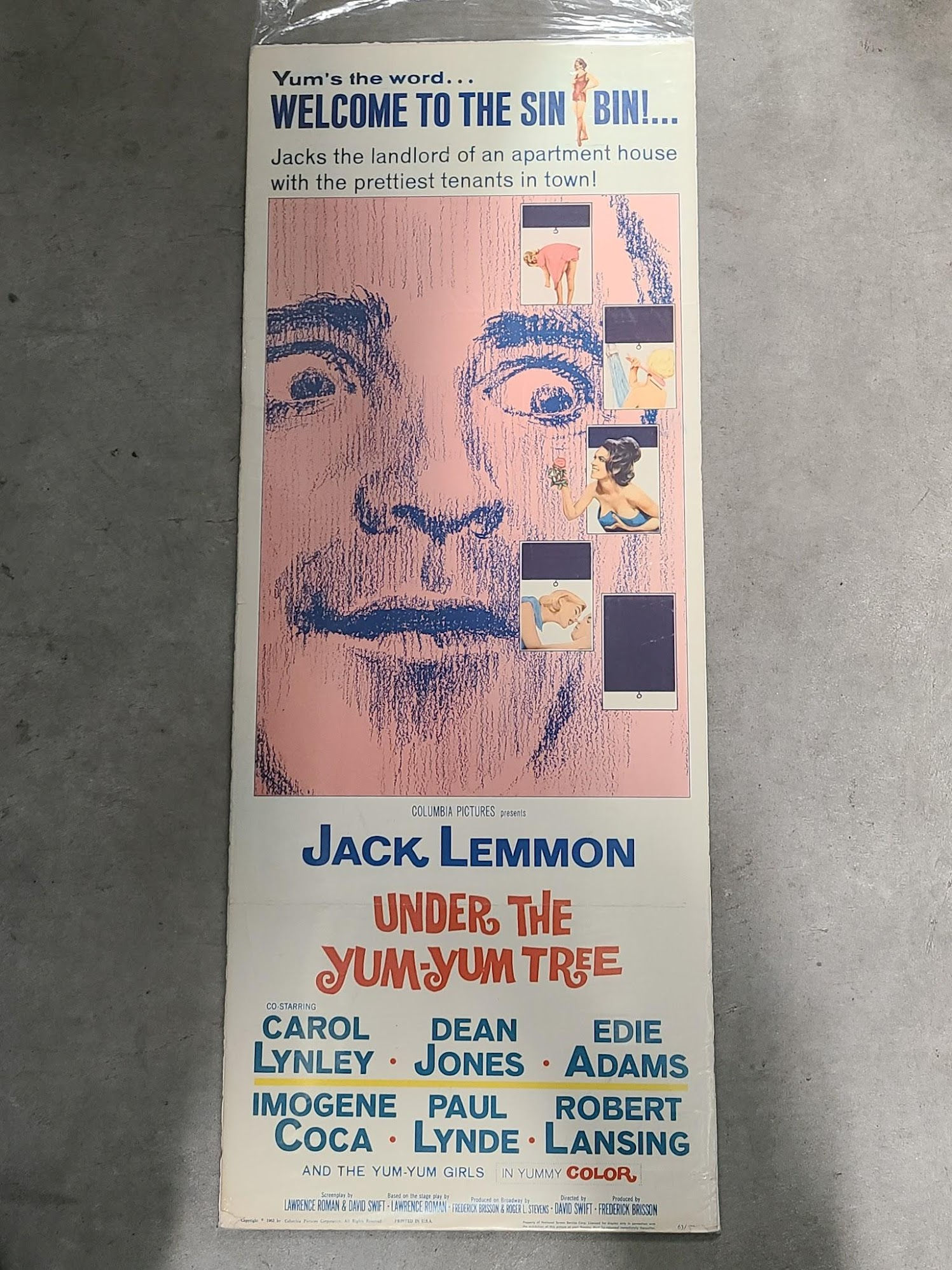 Under The Yum Yum Tree 1963 Inserts