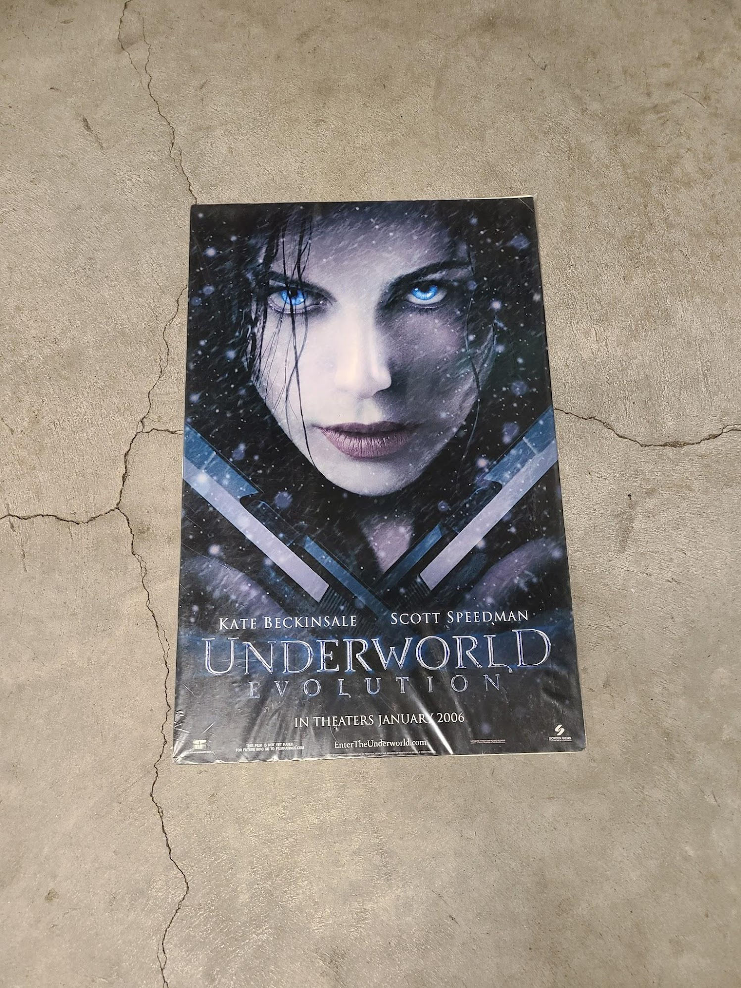 Underworld: Evolution 2006 Window Cards