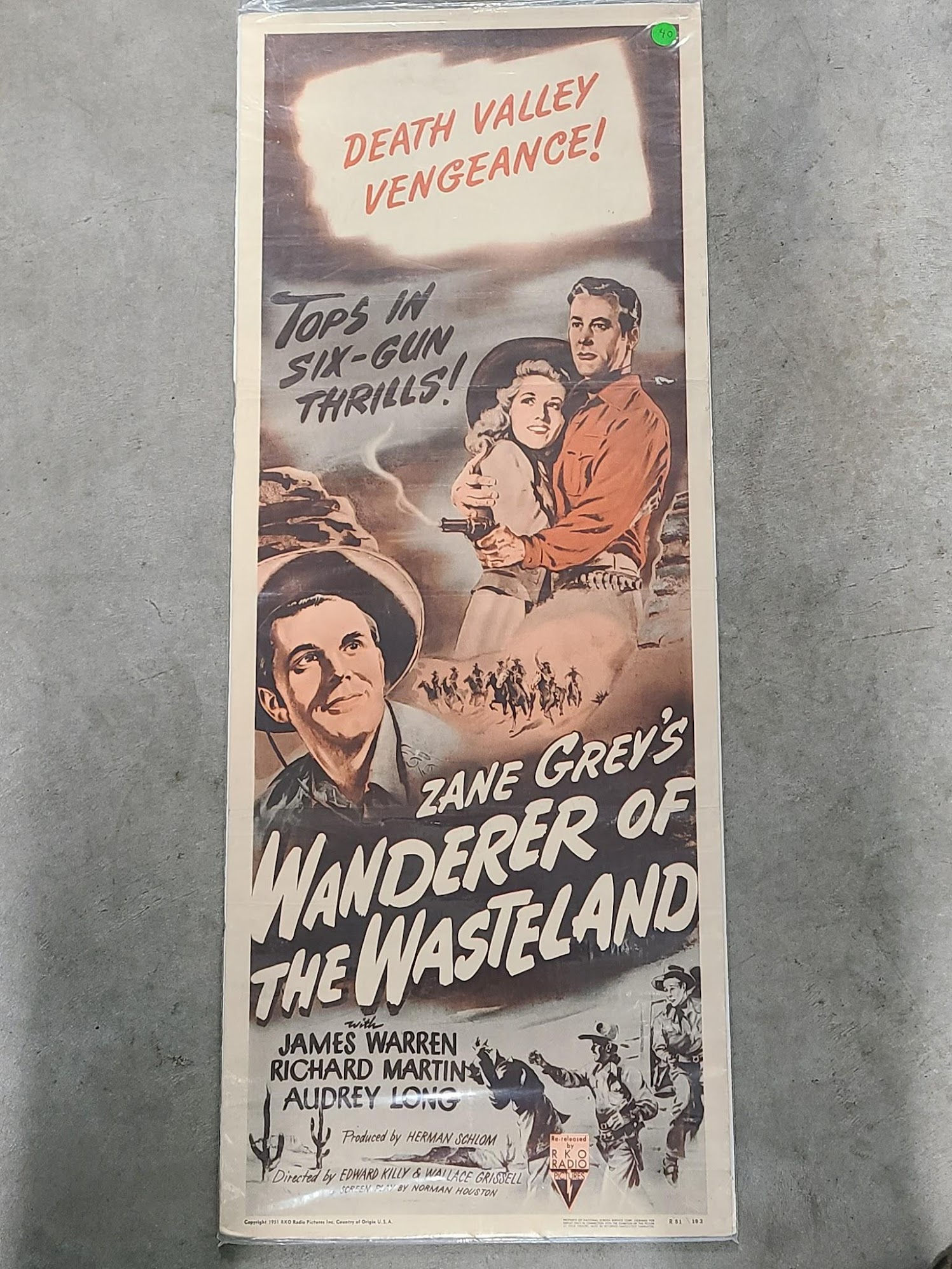 Wanderer Of The Wasteland 1945 Inserts