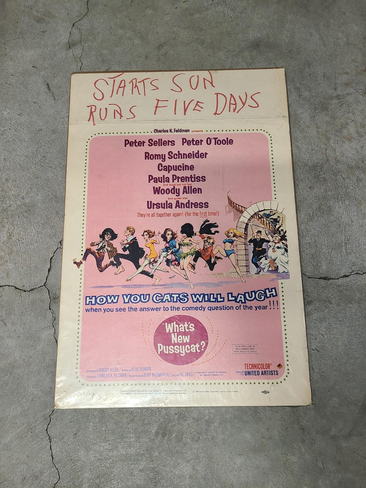 What's New Pussycat 1965 Window Cards