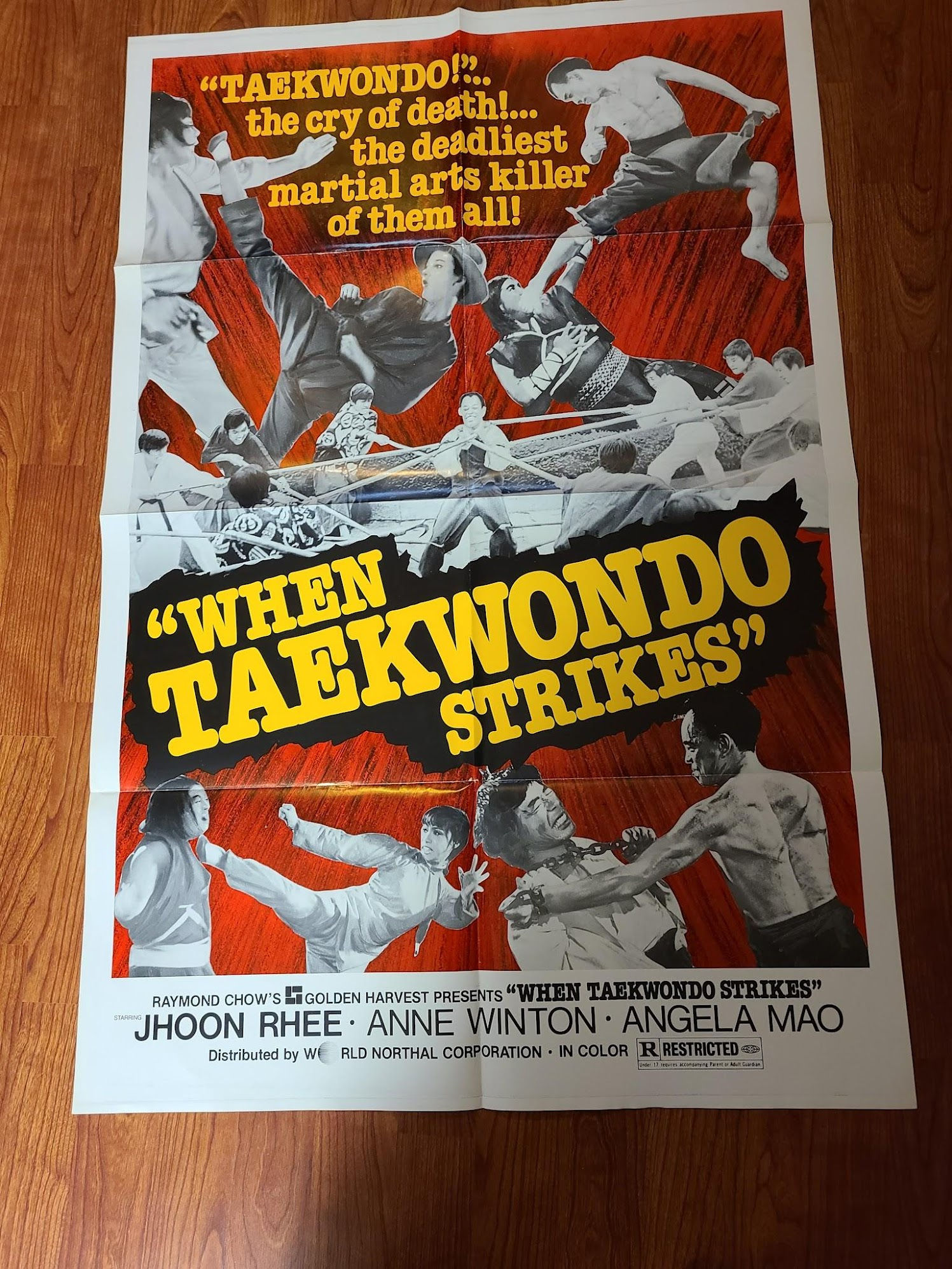 When Taekwondo Strikes 1973 1 Sheets/US
