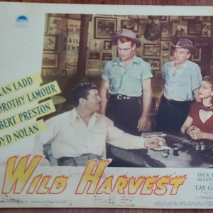 Wild Harvest 1947 General Lobby Cards