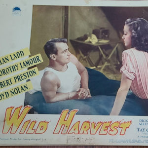 Wild Harvest 1947 General Lobby Cards