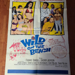 Wild On The Beach 1965 1 Sheets/US