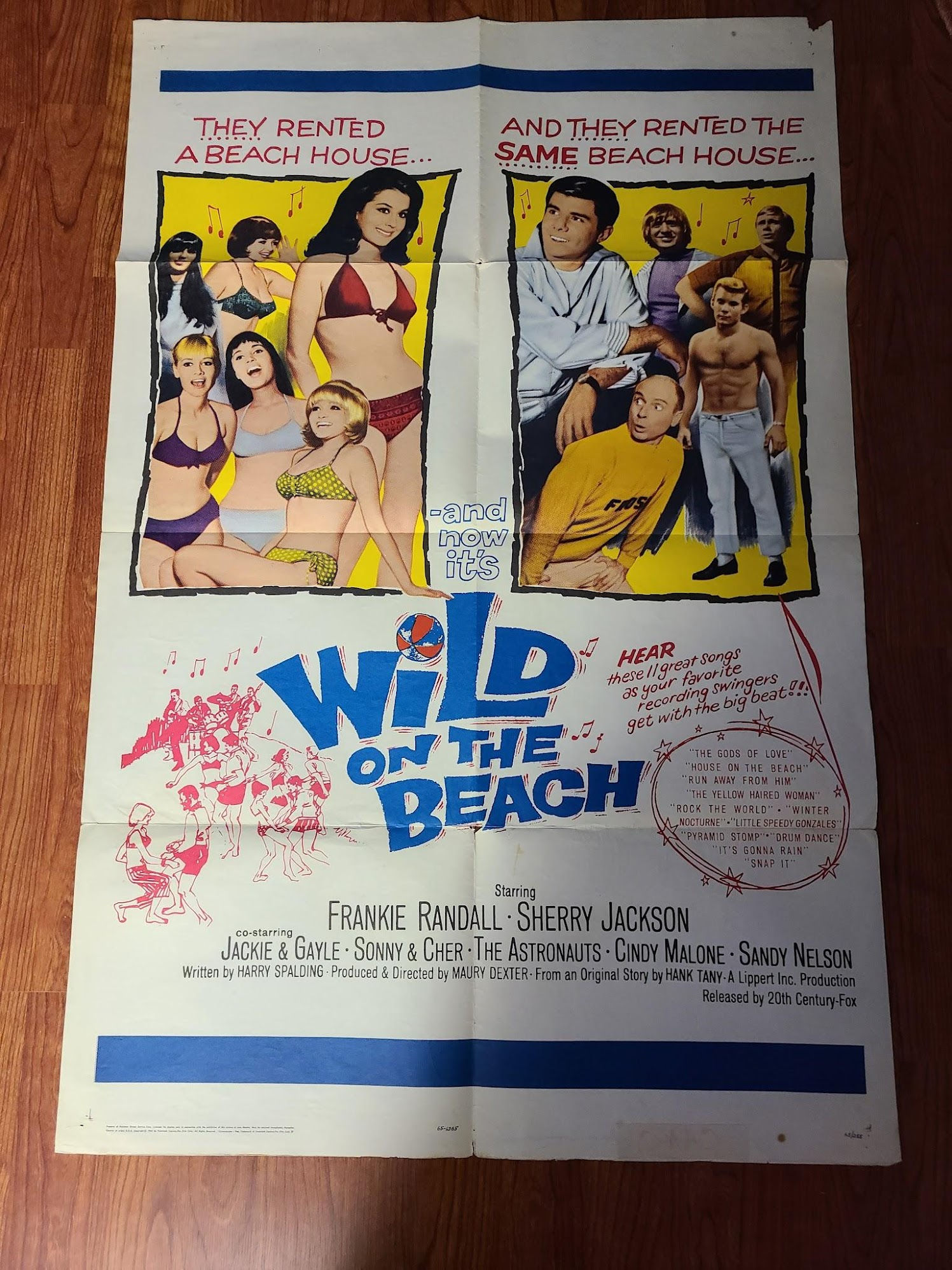 Wild On The Beach 1965 1 Sheets/US
