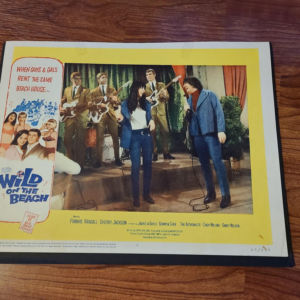 Wild On The Beach 1965 General Lobby Cards