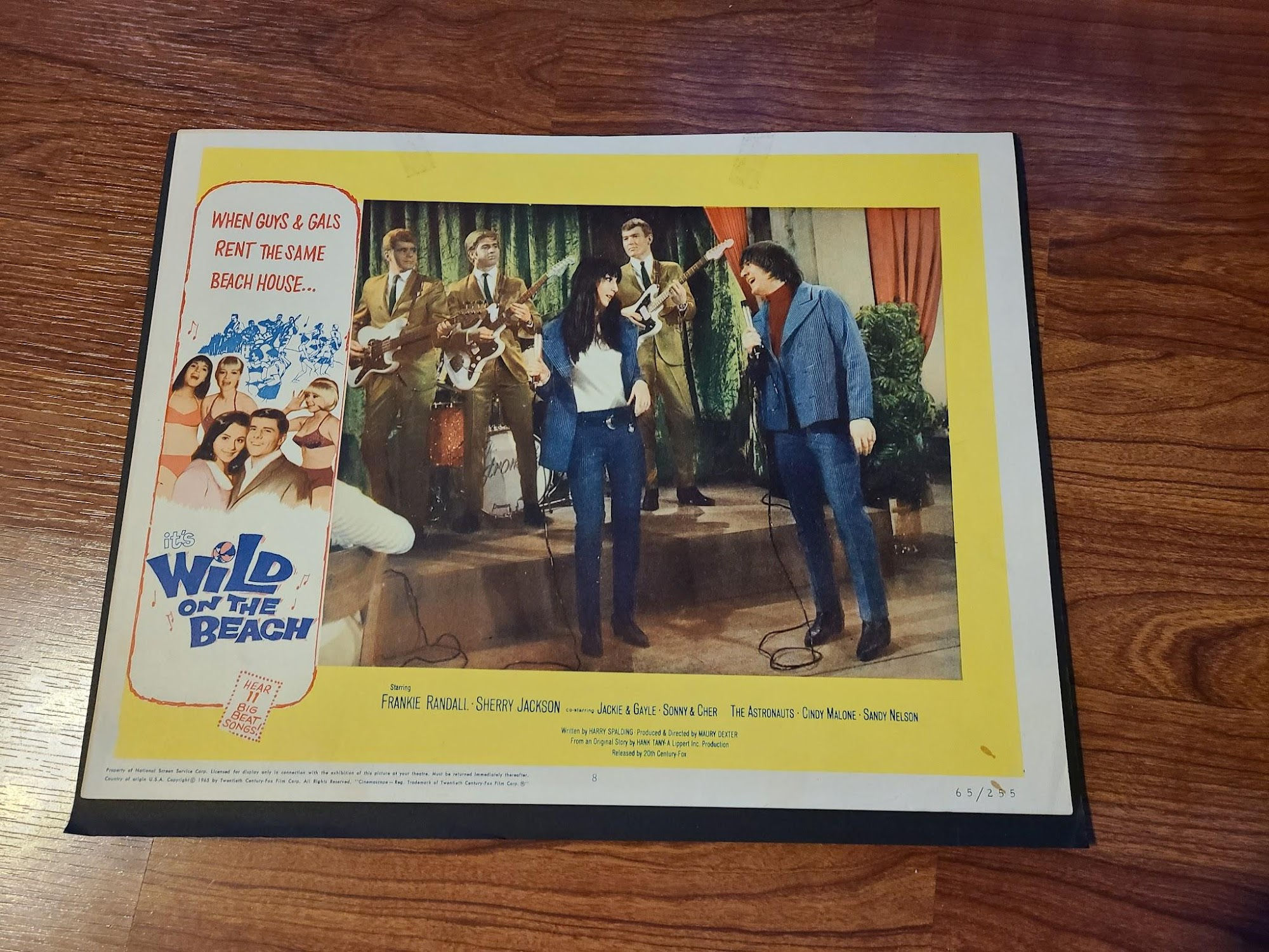 Wild On The Beach 1965 General Lobby Cards
